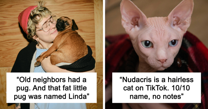 53 Times People Heard Such Brilliant And Bizarre Pet Names That They Just Had To Share