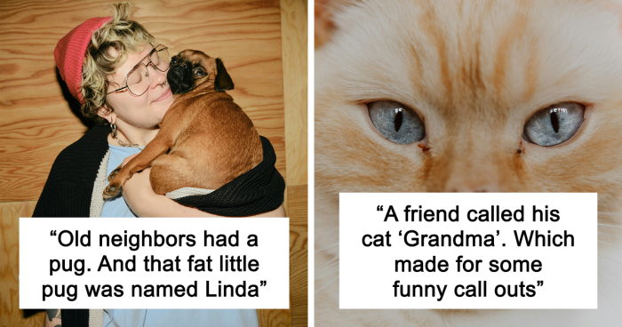 53 Times People Heard Such Brilliant And Bizarre Pet Names That They Just Had To Share