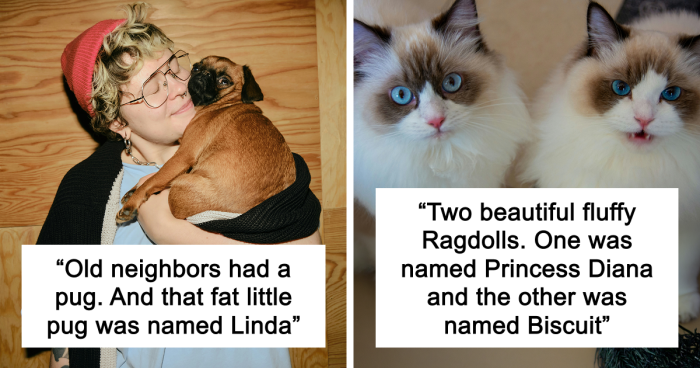 53 Times People Heard Such Brilliant And Bizarre Pet Names That They Just Had To Share
