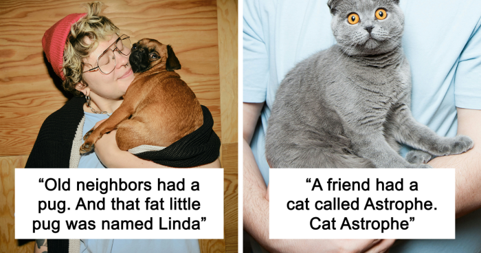 53 Times People Heard Such Brilliant And Bizarre Pet Names That They Just Had To Share