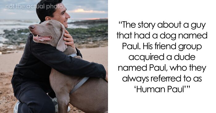 53 Times People Heard Such Brilliant And Bizarre Pet Names That They Just Had To Share