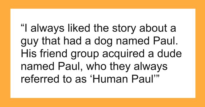 53 Times People Heard Such Brilliant And Bizarre Pet Names That They Just Had To Share