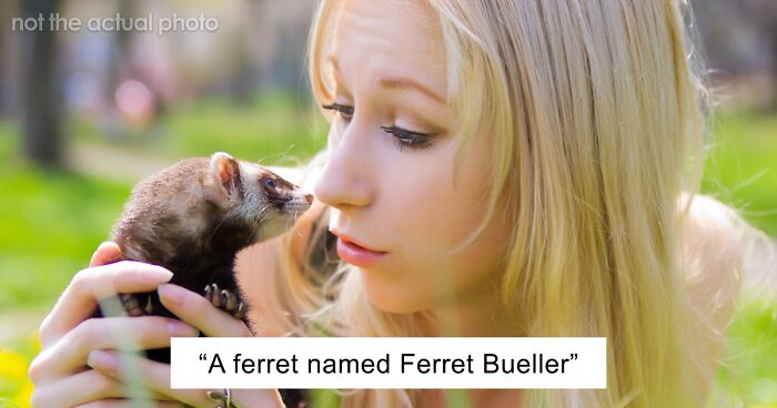 53 Times People Heard Such Brilliant And Bizarre Pet Names That They Just Had To Share
