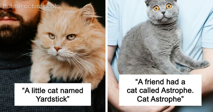 53 Times People Heard Such Brilliant And Bizarre Pet Names That They Just Had To Share