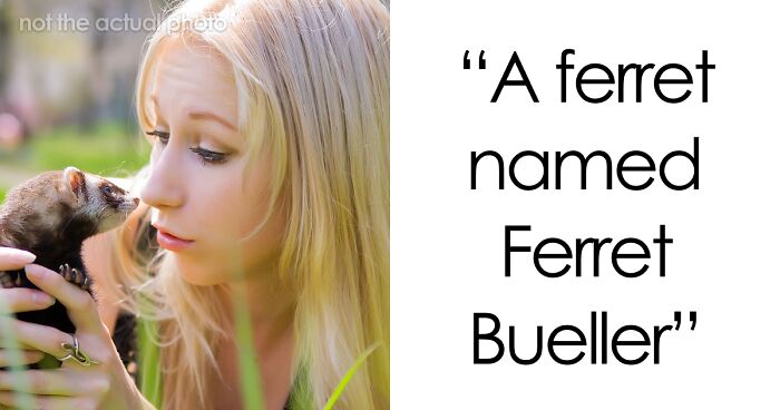 53 Times People Heard Such Brilliant And Bizarre Pet Names That They Just Had To Share