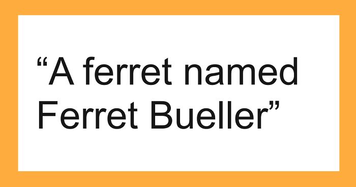 53 Times People Heard Such Brilliant And Bizarre Pet Names That They Just Had To Share