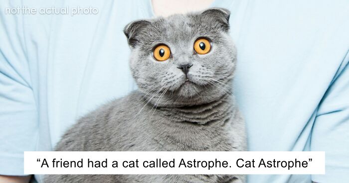 53 Times People Heard Such Brilliant And Bizarre Pet Names That They Just Had To Share
