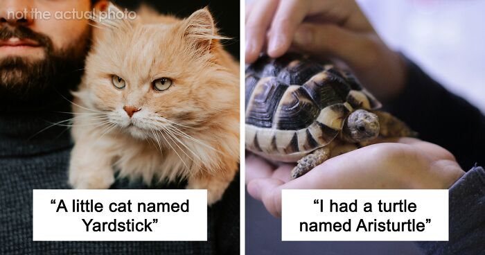 53 Times People Heard Such Brilliant And Bizarre Pet Names That They Just Had To Share