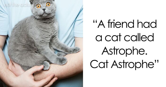 53 Times People Heard Such Brilliant And Bizarre Pet Names That They Just Had To Share