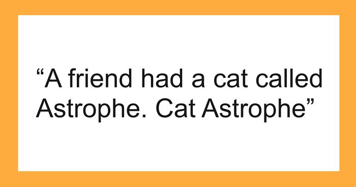 53 Times People Heard Such Brilliant And Bizarre Pet Names That They Just Had To Share