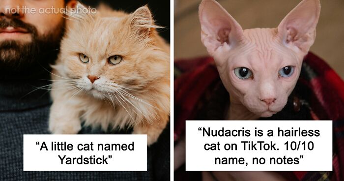 53 Times People Heard Such Brilliant And Bizarre Pet Names That They Just Had To Share