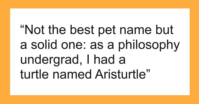 53 Times People Heard Such Brilliant And Bizarre Pet Names That They Just Had To Share