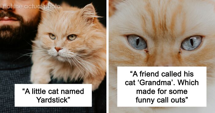 53 Times People Heard Such Brilliant And Bizarre Pet Names That They Just Had To Share