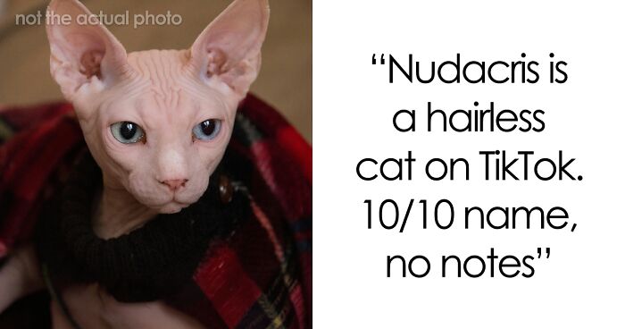 53 Times People Heard Such Brilliant And Bizarre Pet Names That They Just Had To Share