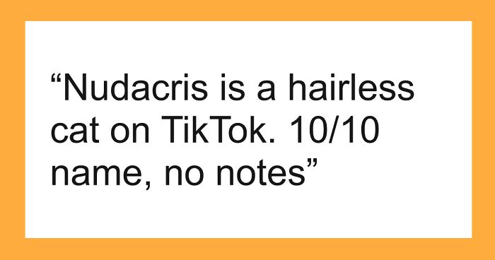 53 Times People Heard Such Brilliant And Bizarre Pet Names That They Just Had To Share