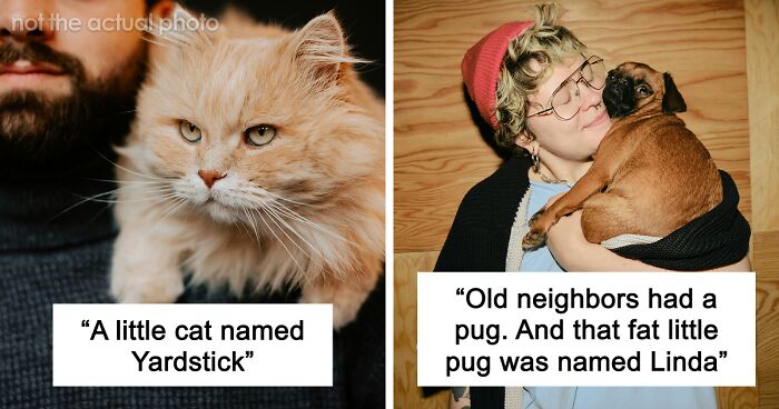 53 Times People Heard Such Brilliant And Bizarre Pet Names That They Just Had To Share