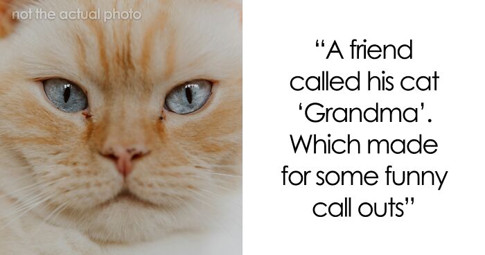 53 Times People Heard Such Brilliant And Bizarre Pet Names That They Just Had To Share