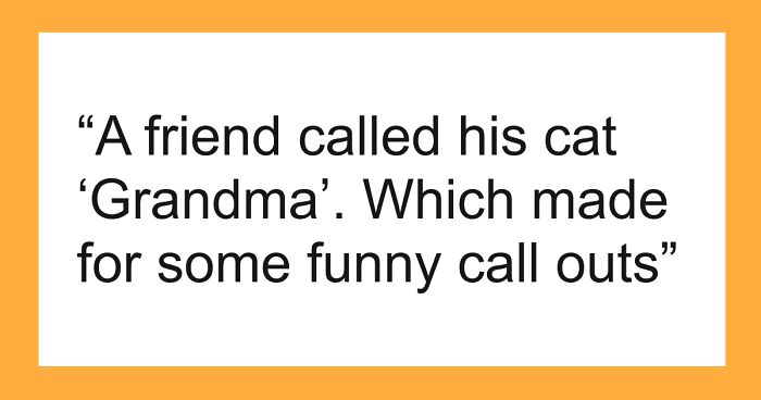 53 Times People Heard Such Brilliant And Bizarre Pet Names That They Just Had To Share