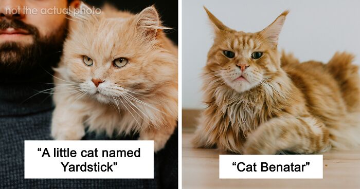 53 Times People Heard Such Brilliant And Bizarre Pet Names That They Just Had To Share