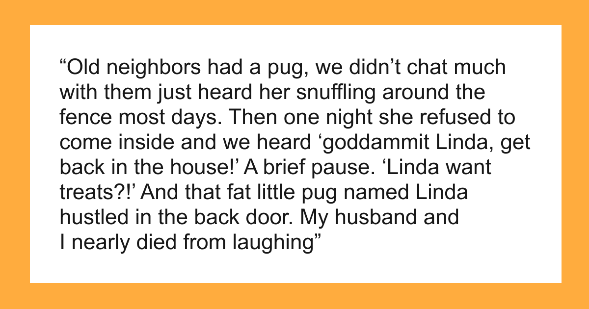 The Pet Name Hall Of Fame: 53 Funny Names That Deserve Attention