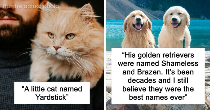 53 Times People Heard Such Brilliant And Bizarre Pet Names That They Just Had To Share