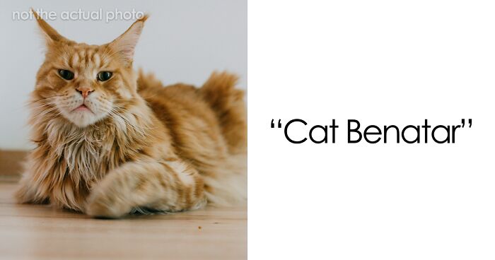 53 Times People Heard Such Brilliant And Bizarre Pet Names That They Just Had To Share