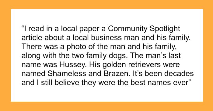 53 Times People Heard Such Brilliant And Bizarre Pet Names That They Just Had To Share