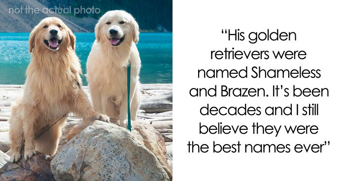 53 Times People Heard Such Brilliant And Bizarre Pet Names That They Just Had To Share