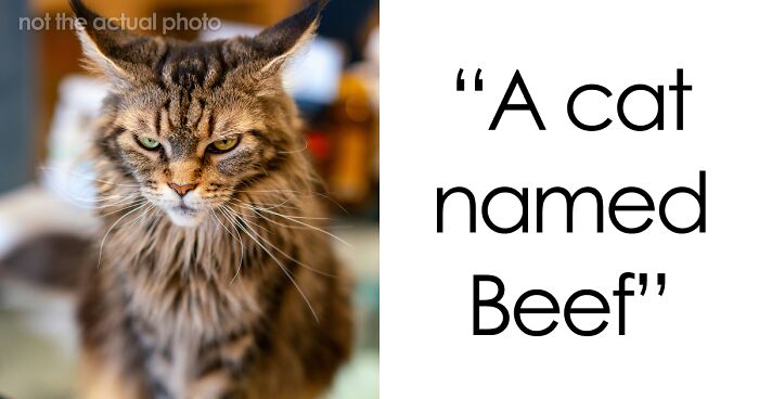 53 Times People Heard Such Brilliant And Bizarre Pet Names That They Just Had To Share