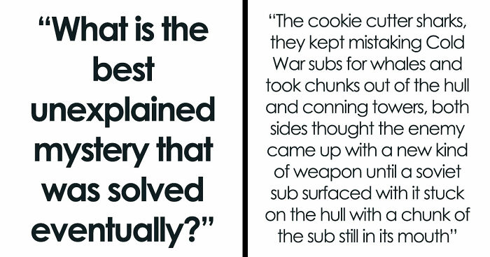 30 Strange Cases That Had Everyone Guessing Wrong Until The Truth Finally Clicked