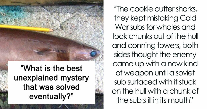 30 Strange Cases That Had Everyone Guessing Wrong Until The Truth Finally Clicked