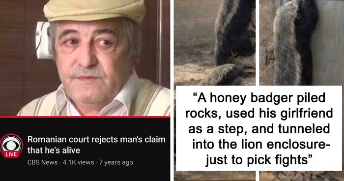 79 Funny And Completely Unpredictable Sentences That Caught The Internet Off Guard (New Pics)
