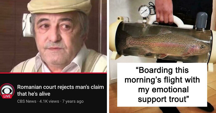 79 Funny And Completely Unpredictable Sentences That Caught The Internet Off Guard (New Pics)