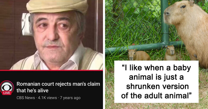 79 Funny And Completely Unpredictable Sentences That Caught The Internet Off Guard (New Pics)