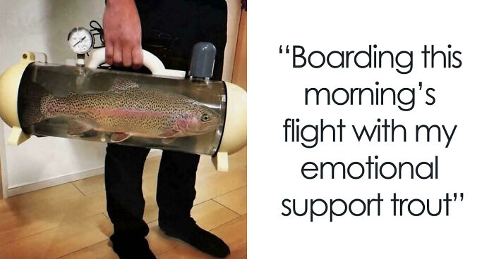 79 Funny And Completely Unpredictable Sentences That Caught The Internet Off Guard (New Pics)