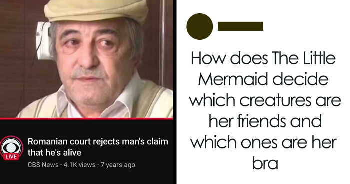 79 Funny And Completely Unpredictable Sentences That Caught The Internet Off Guard (New Pics)