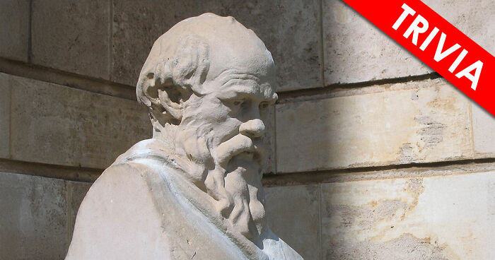 “Can Your Brain Keep Up?”: Beat This 24-Question Philosophy & Culture Quiz