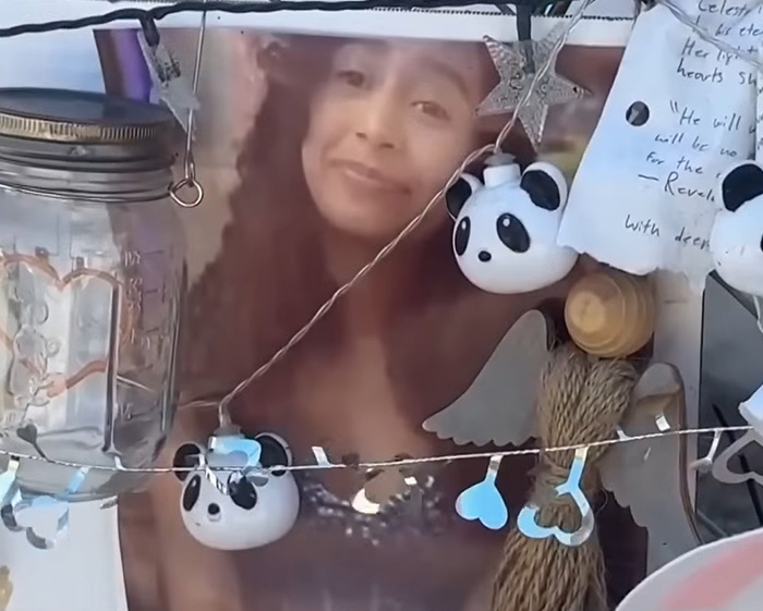 A photo of Celeste Rivas memorial with panda ornaments and written notes revealing details from the D4vd relationship. A photo of Celeste Rivas memorial with panda ornaments and written notes revealing details from the D4vd relationship.