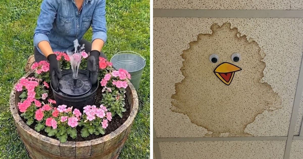 37 Times Creative People Had An Idea And Just Ran With It (New Pics)