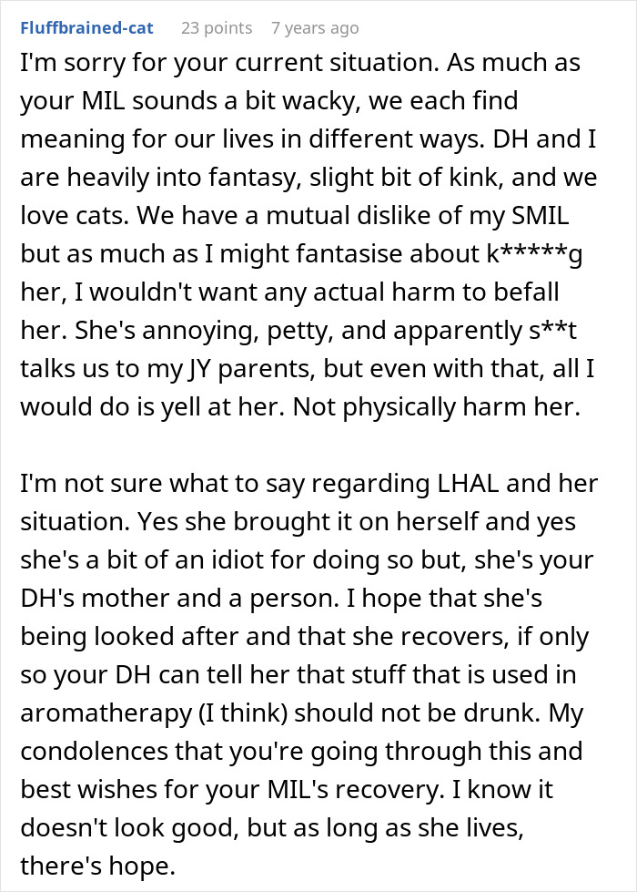 A Reddit comment expressing sympathy for the MILs situation and her ill-fated potion attempt.