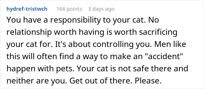 A comment warns a bride-to-be about her fiancé's controlling behavior and the safety of her cat. A comment warns a bride-to-be about her fiancé's controlling behavior and the safety of her cat.