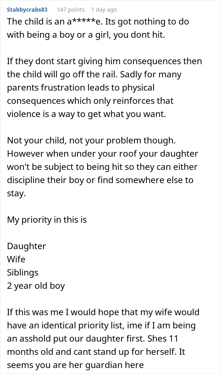 A screenshot of a Reddit comment discussing consequences for a nephew punching a baby daughter and family priorities.