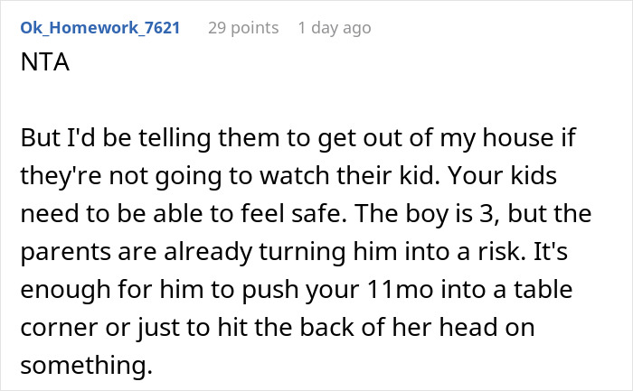 A detailed Reddit comment advising the man to remove the family if they won't watch their kid, citing the nephew punching his baby daughter.