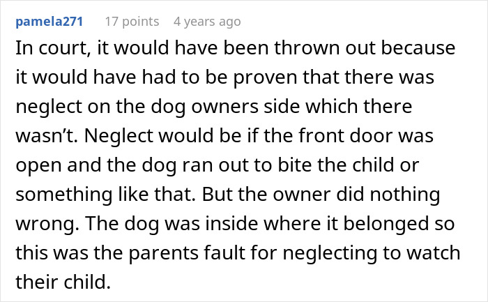 A screenshot of a comment from pamela271 discussing a dog owner's nightmare and negligence involving a dog. A screenshot of a comment from pamela271 discussing a dog owner's nightmare and negligence involving a dog.
