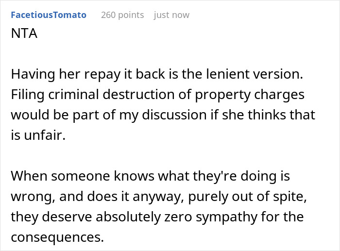 A comment on the consequences for a jealous 15-year-old slashing her stepsister's designer purse. A comment on the consequences for a jealous 15-year-old slashing her stepsister's designer purse.