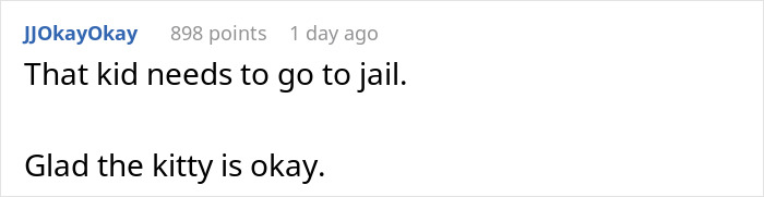 A comment about a house sitter and a lost cat being okay.