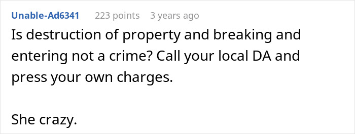 Reddit comment asking if destruction of property and breaking and entering are crimes regarding the aunt's mistake.