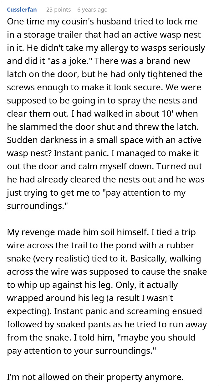 A long Reddit comment describing a revenge story involving a wasp nest, a rubber snake, and a woman's toxic relative.