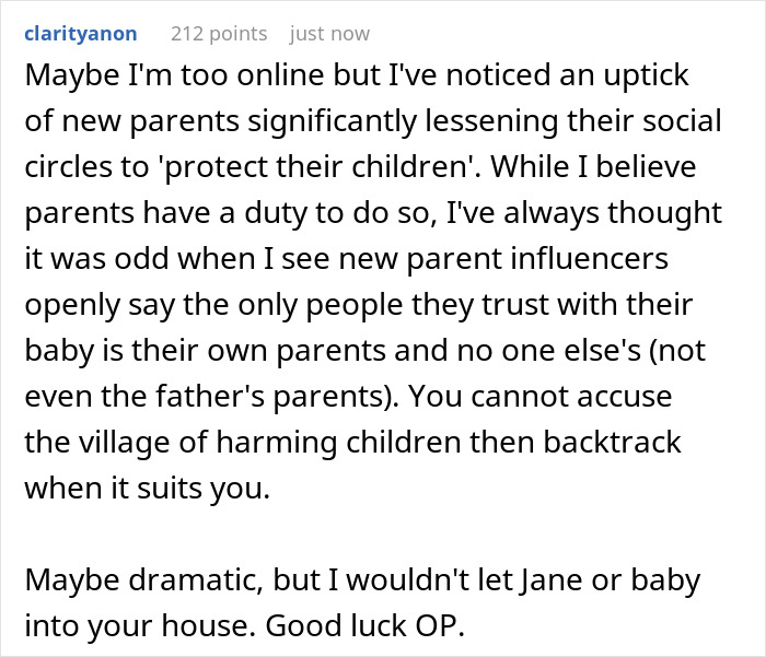 A screenshot of a Reddit comment about new parents protecting their children and the delulu mom.