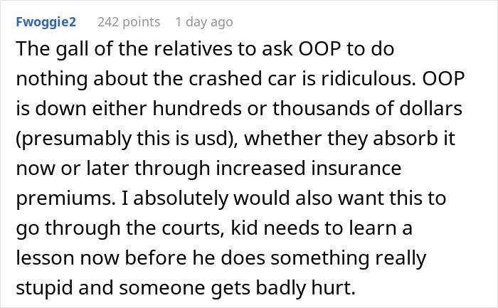A comment about a house sitter and a crashed car, emphasizing financial loss and the need for accountability.